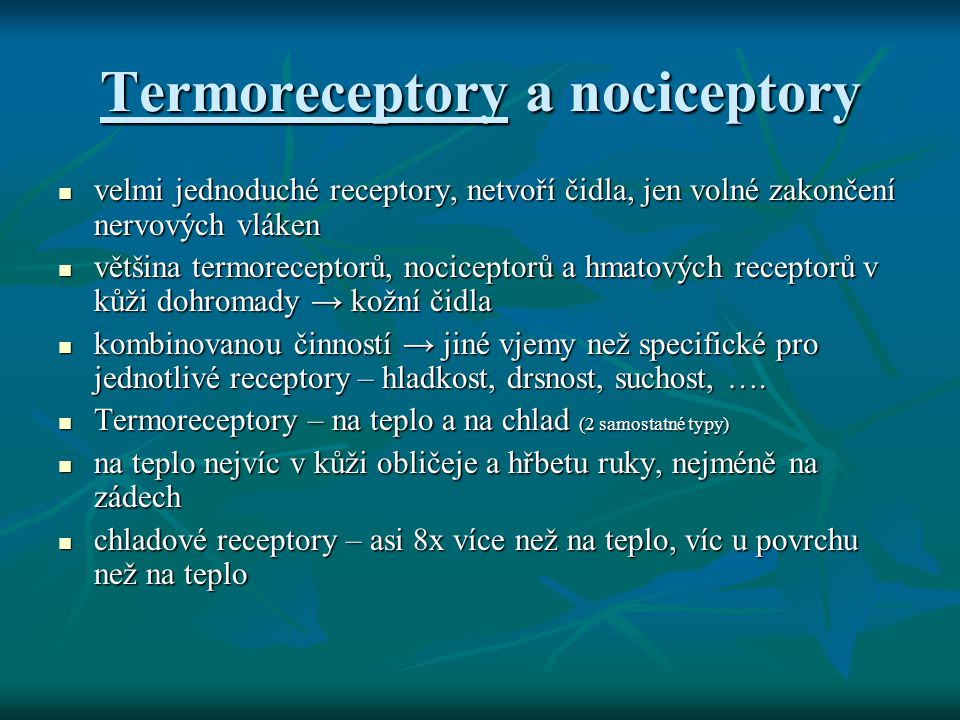 Termoreceptory a nociceptory