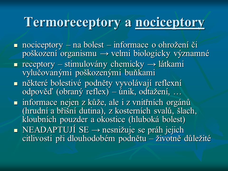 Termoreceptory a nociceptory
