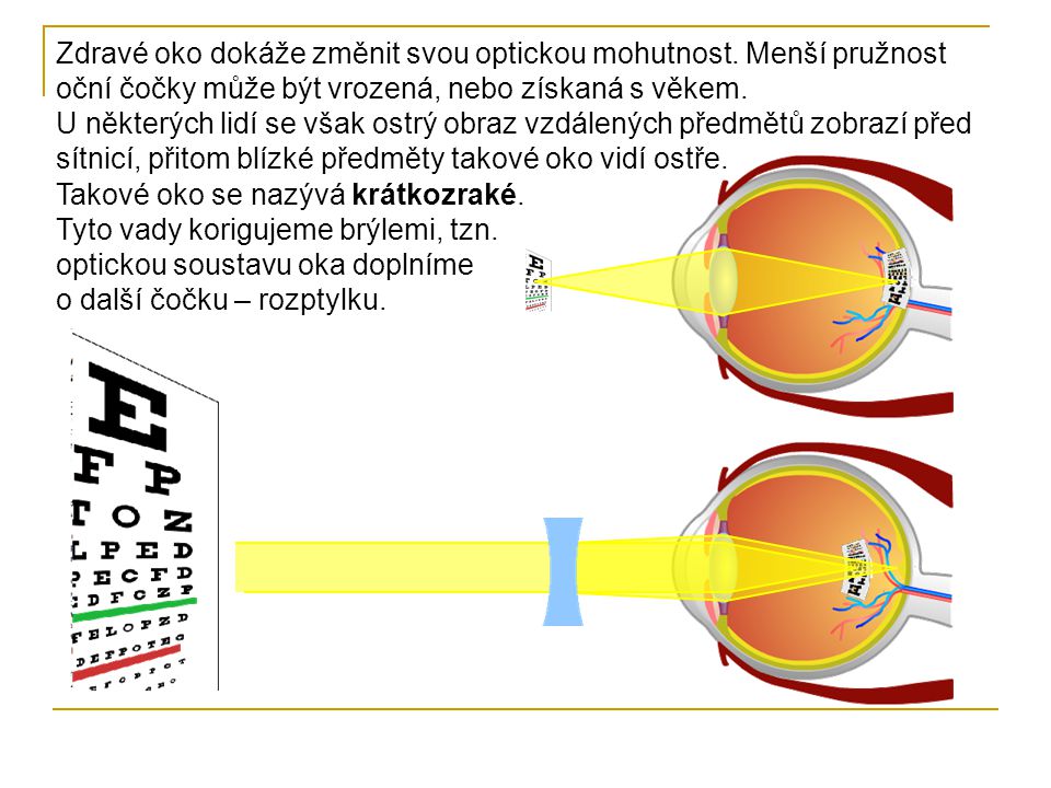 Zdravé oko dokáže změnit svou optickou mohutnost