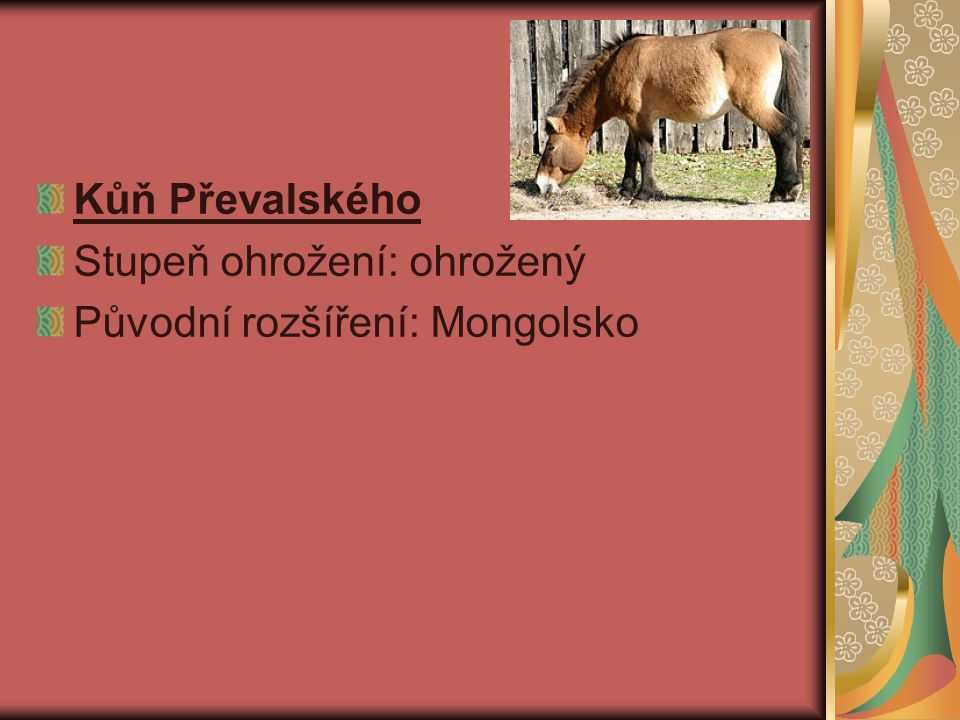 Kůň Převalského Stupeň ohrožení: ohrožený Původní rozšíření: Mongolsko