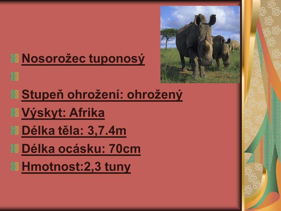 Nosorožec tuponosý Stupeň ohrožení: ohrožený. Výskyt: Afrika. Délka těla: 3,7.4m. Délka ocásku: 70cm.
