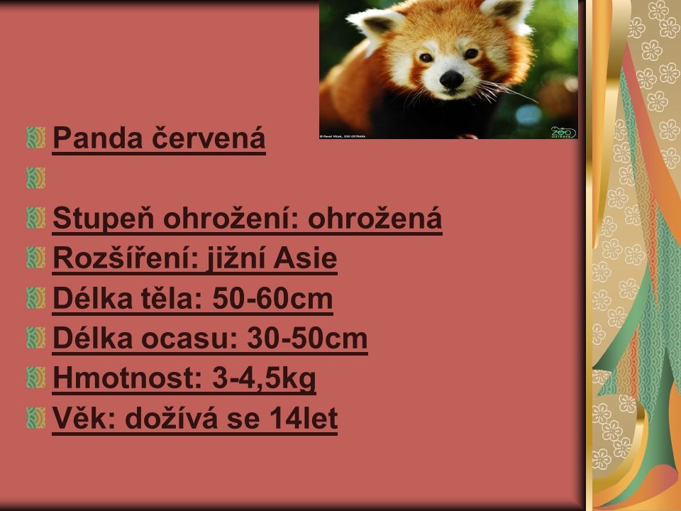 Panda červená Stupeň ohrožení: ohrožená. Rozšíření: jižní Asie. Délka těla: 50-60cm. Délka ocasu: 30-50cm.