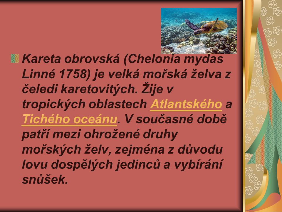 Kareta obrovská (Chelonia mydas Linné 1758) je velká mořská želva z čeledi karetovitých.