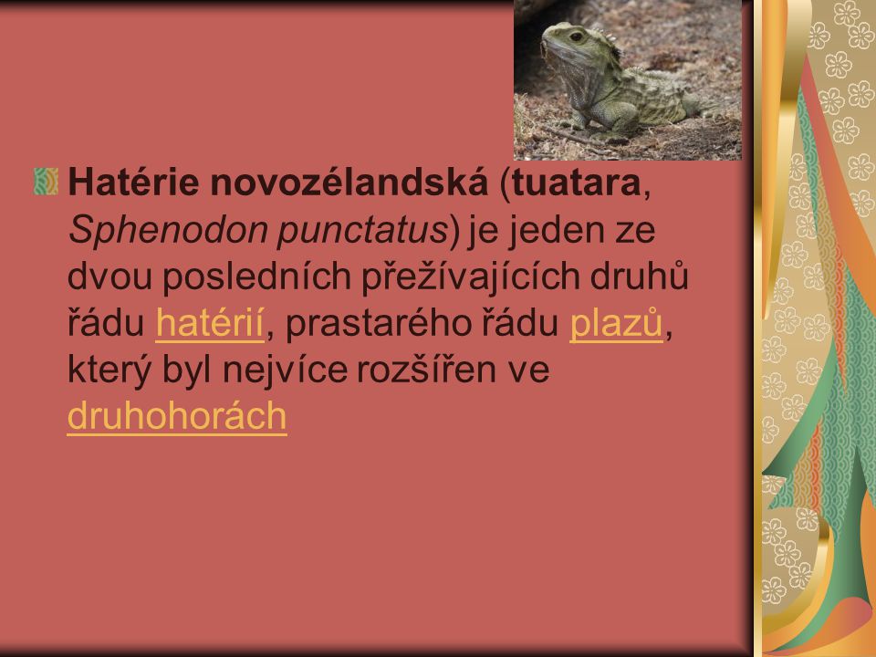 Hatérie novozélandská (tuatara, Sphenodon punctatus) je jeden ze dvou posledních přežívajících druhů řádu hatérií, prastarého řádu plazů, který byl nejvíce rozšířen ve druhohorách