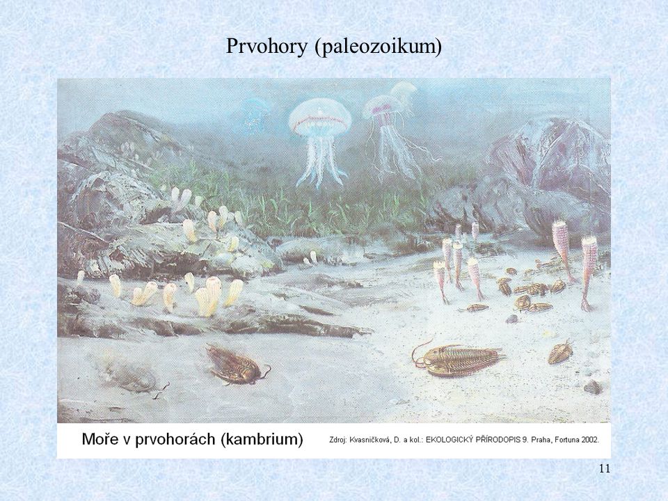 Prvohory (paleozoikum)