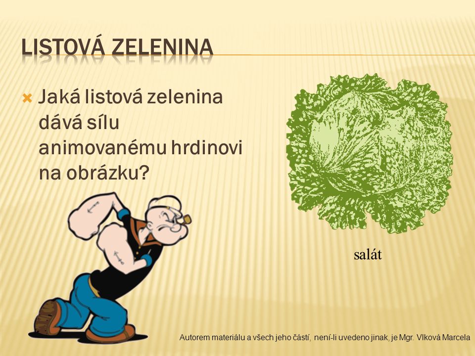 Listová zelenina Jaká listová zelenina dává sílu animovanému hrdinovi na obrázku salát.