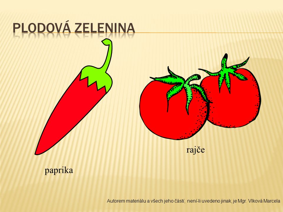 Plodová zelenina rajče paprika