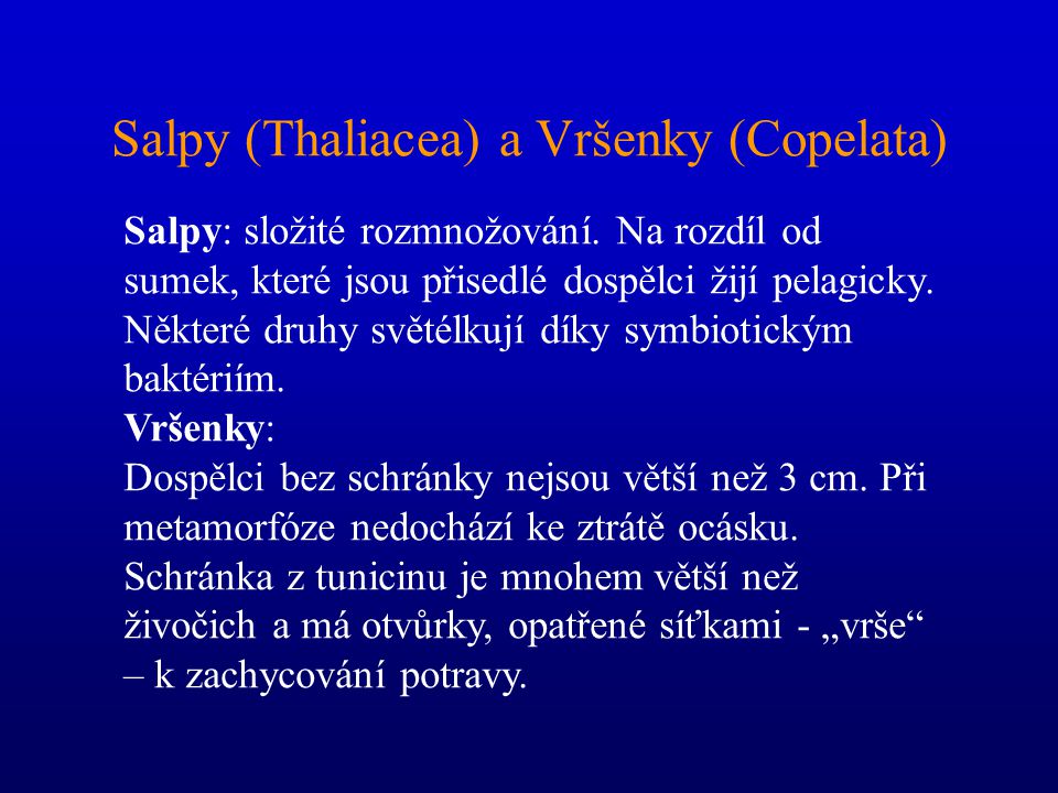 Salpy (Thaliacea) a Vršenky (Copelata)