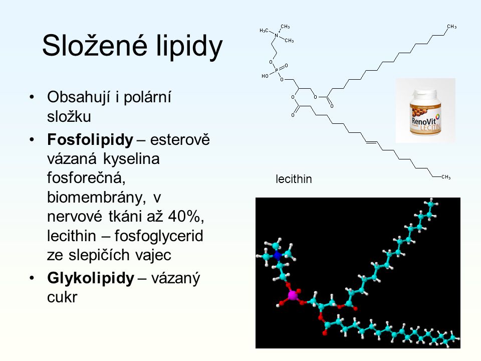 Složené lipidy Obsahují i polární složku