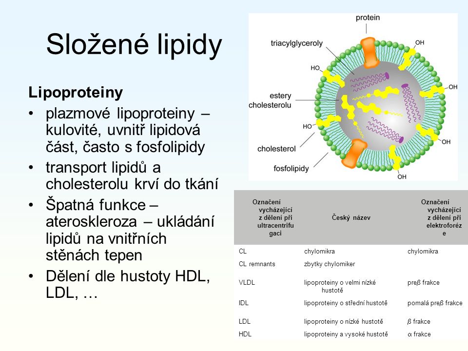 Složené lipidy Lipoproteiny