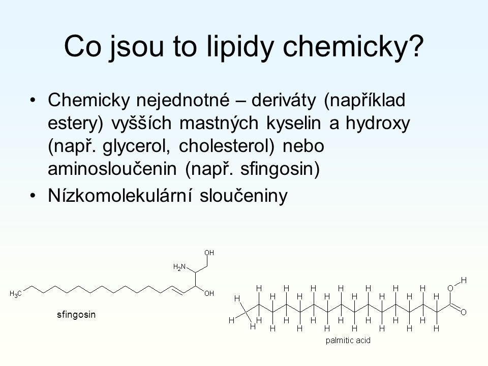 Co jsou to lipidy chemicky