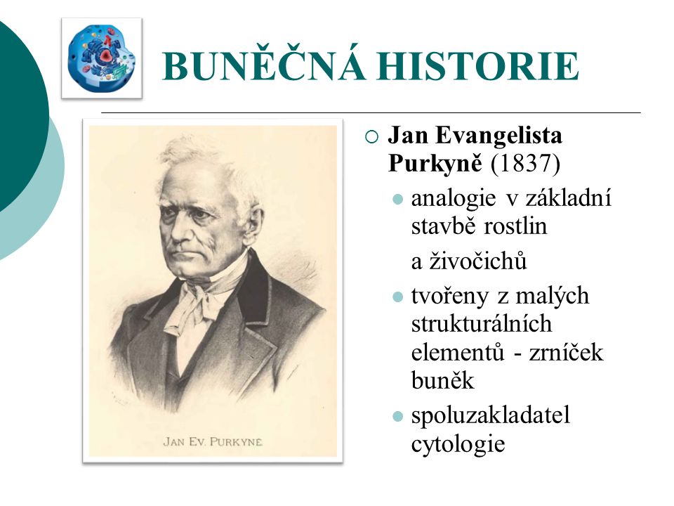 BUNĚČNÁ HISTORIE Jan Evangelista Purkyně (1837)