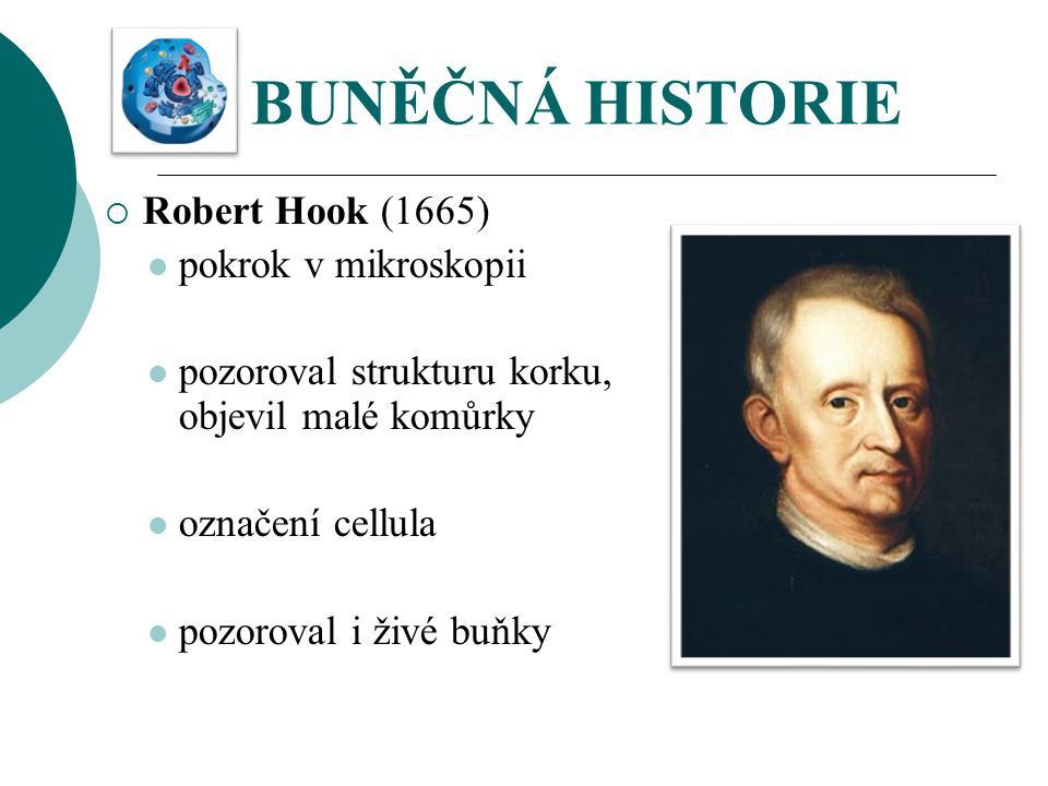 BUNĚČNÁ HISTORIE Robert Hook (1665) pokrok v mikroskopii