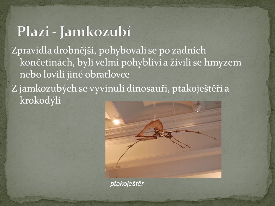 Plazi - Jamkozubí
