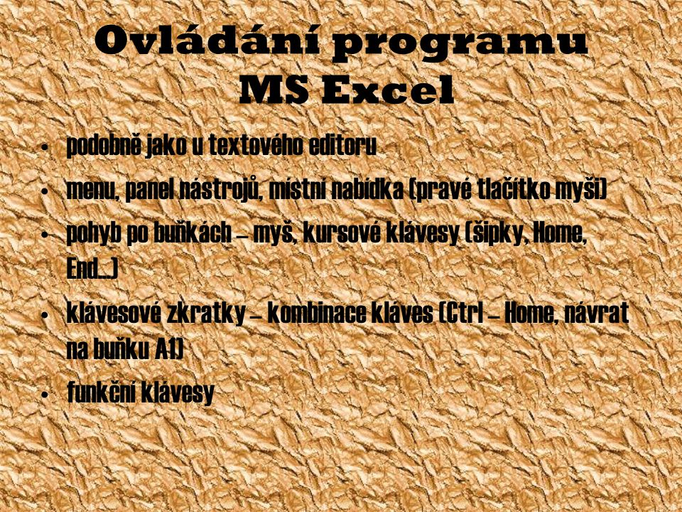Ovládání programu MS Excel