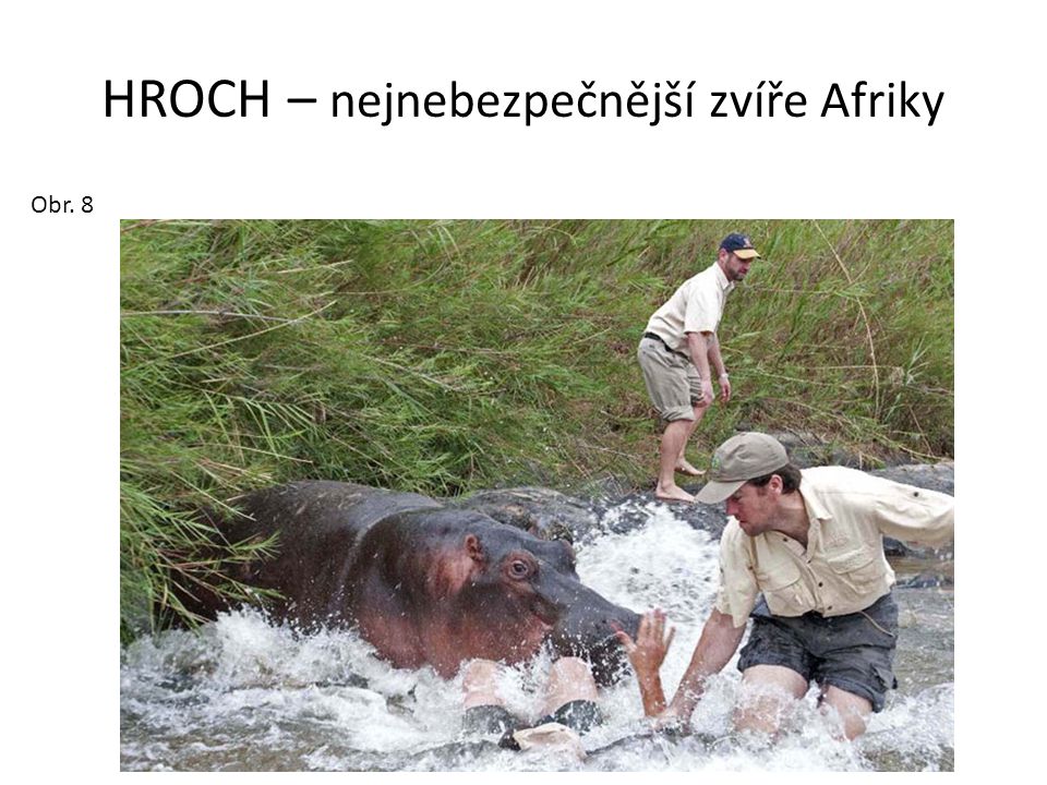 HROCH – nejnebezpečnější zvíře Afriky