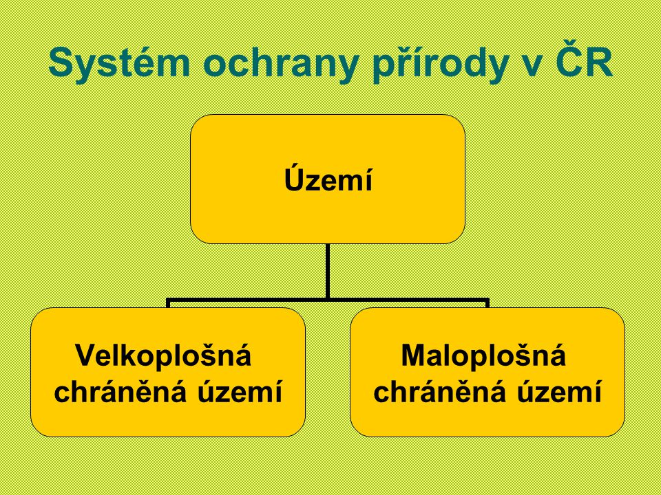 Systém ochrany přírody v ČR