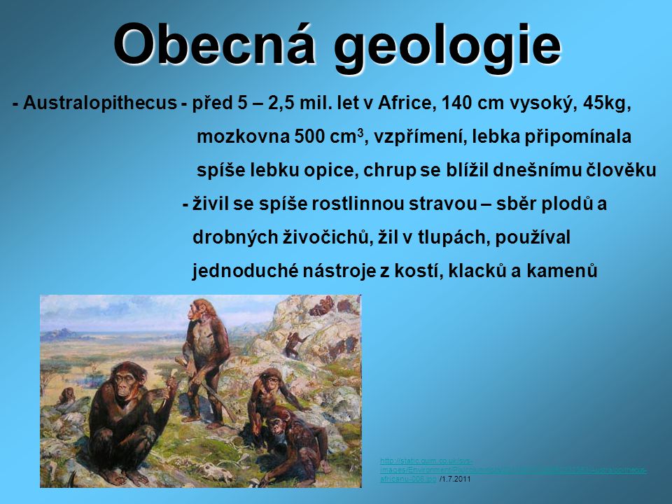 Obecná geologie - Australopithecus - před 5 – 2,5 mil. let v Africe, 140 cm vysoký, 45kg, mozkovna 500 cm3, vzpřímení, lebka připomínala.