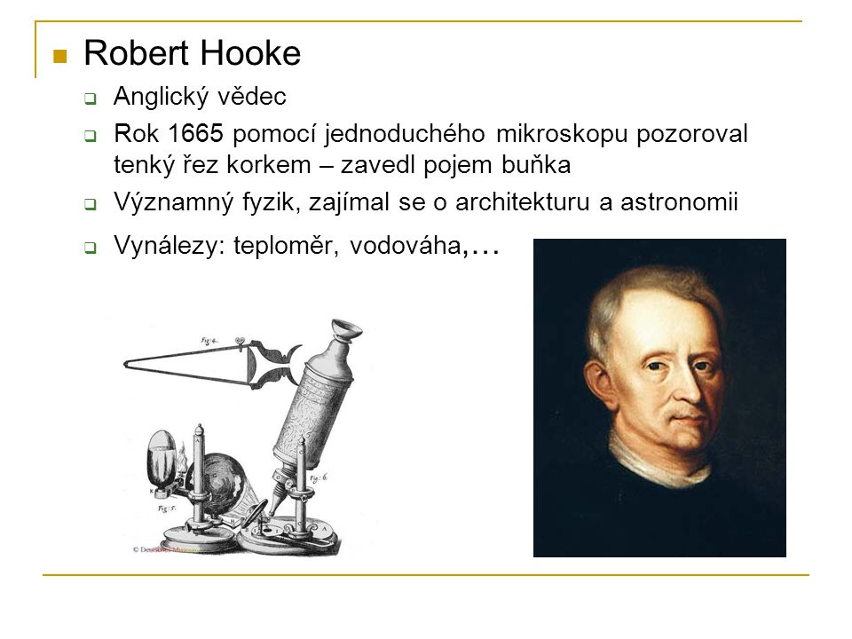 Robert Hooke Anglický vědec