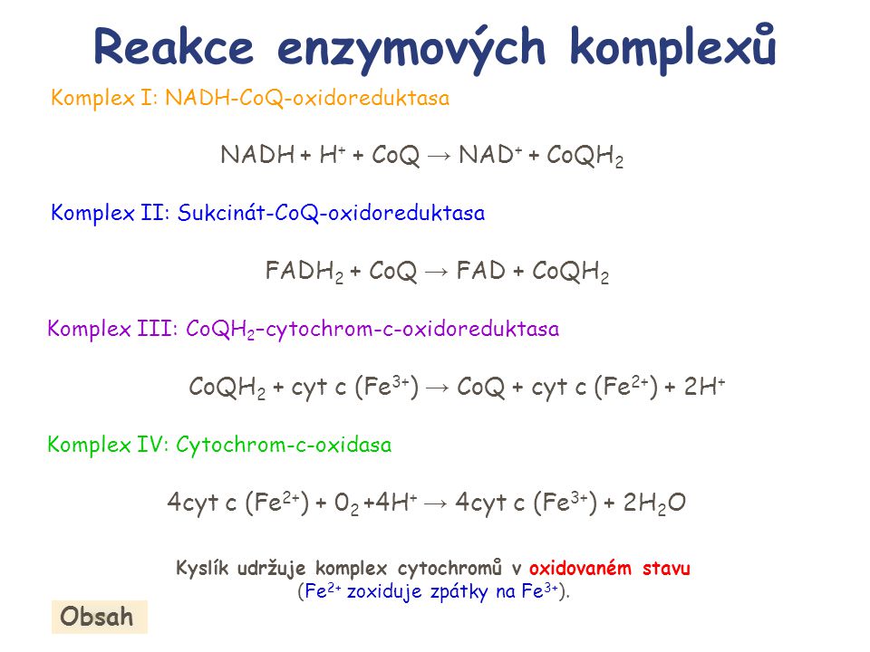 Reakce enzymových komplexů