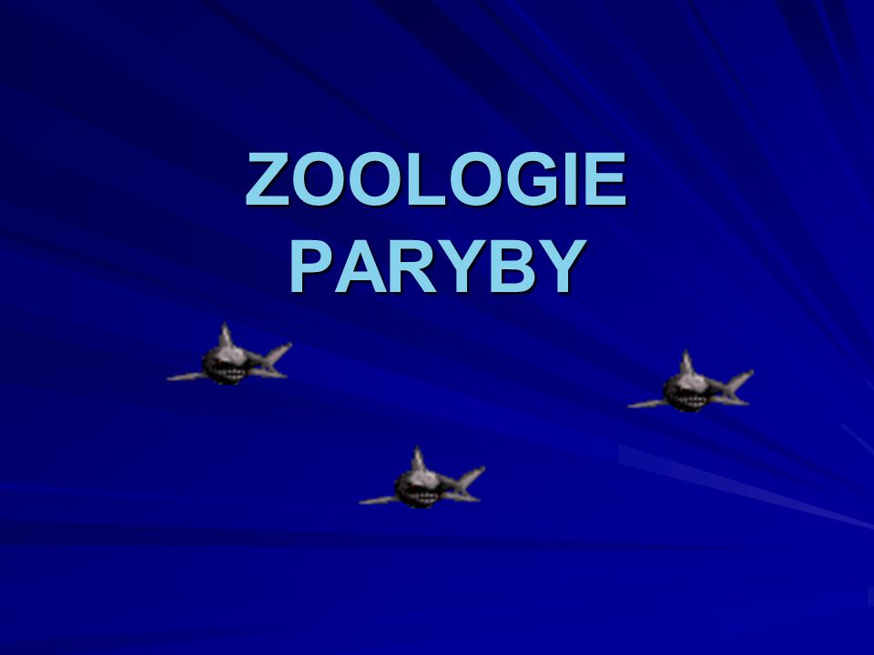 ZOOLOGIE PARYBY