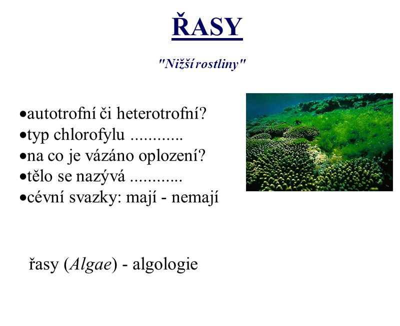 ŘASY řasy (Algae) - algologie autotrofní či heterotrofní