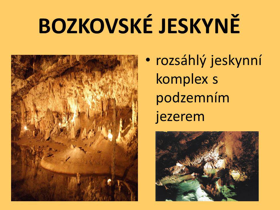 BOZKOVSKÉ JESKYNĚ rozsáhlý jeskynní komplex s podzemním jezerem