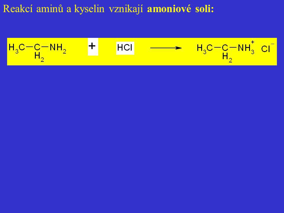 Reakcí aminů a kyselin vznikají amoniové soli: