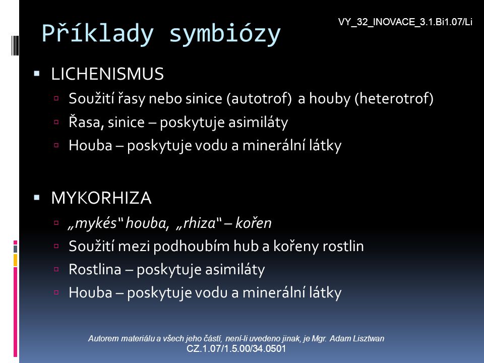 Příklady symbiózy LICHENISMUS MYKORHIZA