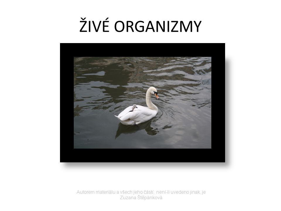 ŽIVÉ ORGANIZMY Autorem materiálu a všech jeho částí, není-li uvedeno jinak, je Zuzana Štěpánková