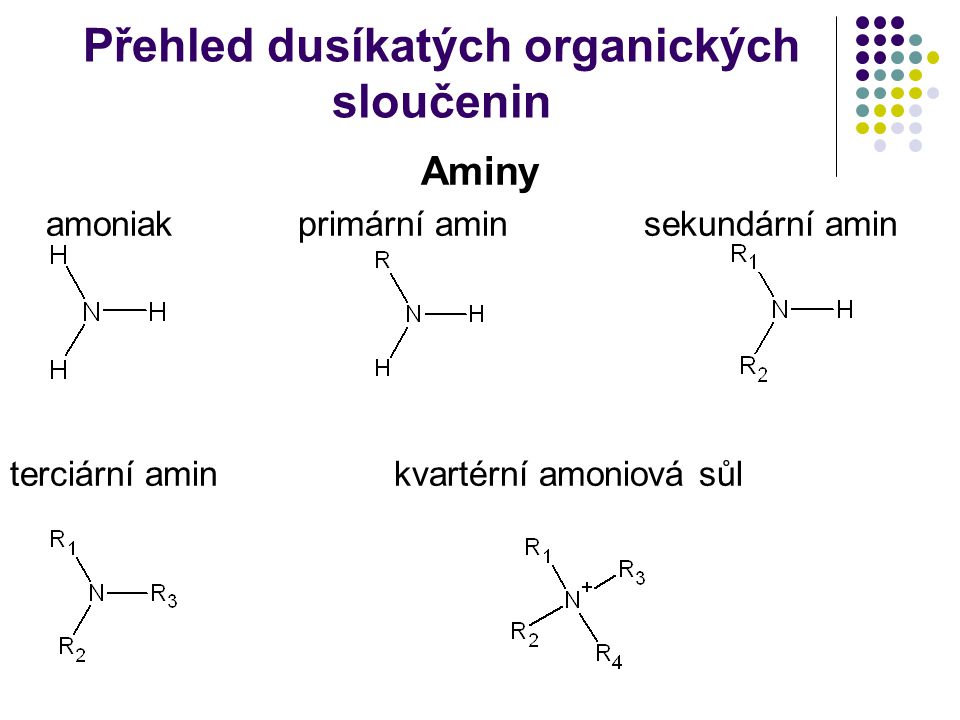 Přehled dusíkatých organických sloučenin