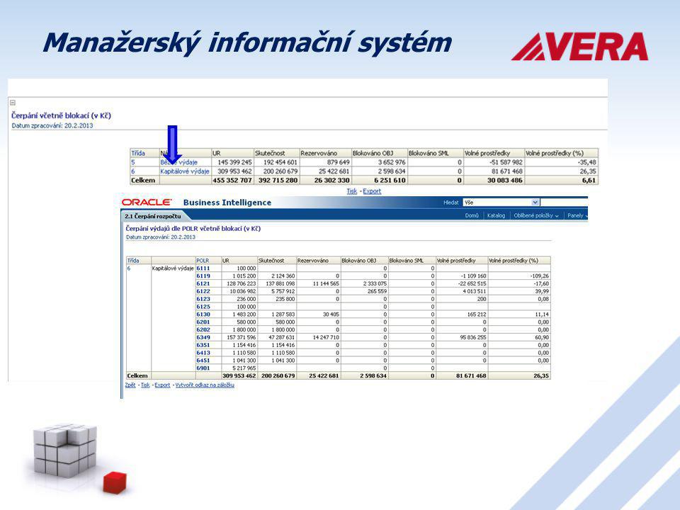 Manažerský informační systém
