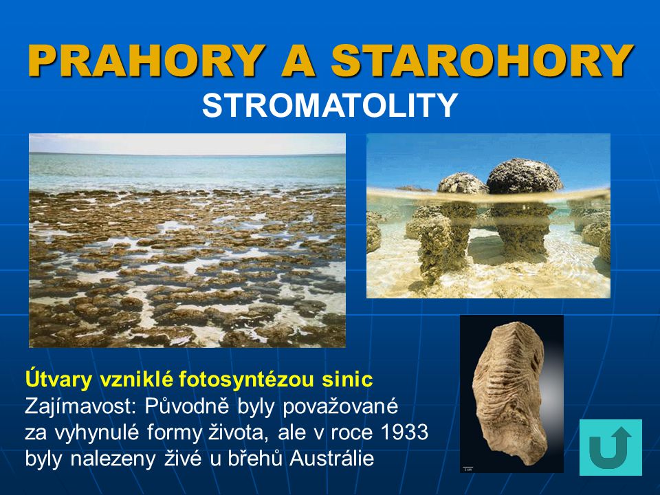 PRAHORY A STAROHORY STROMATOLITY Útvary vzniklé fotosyntézou sinic
