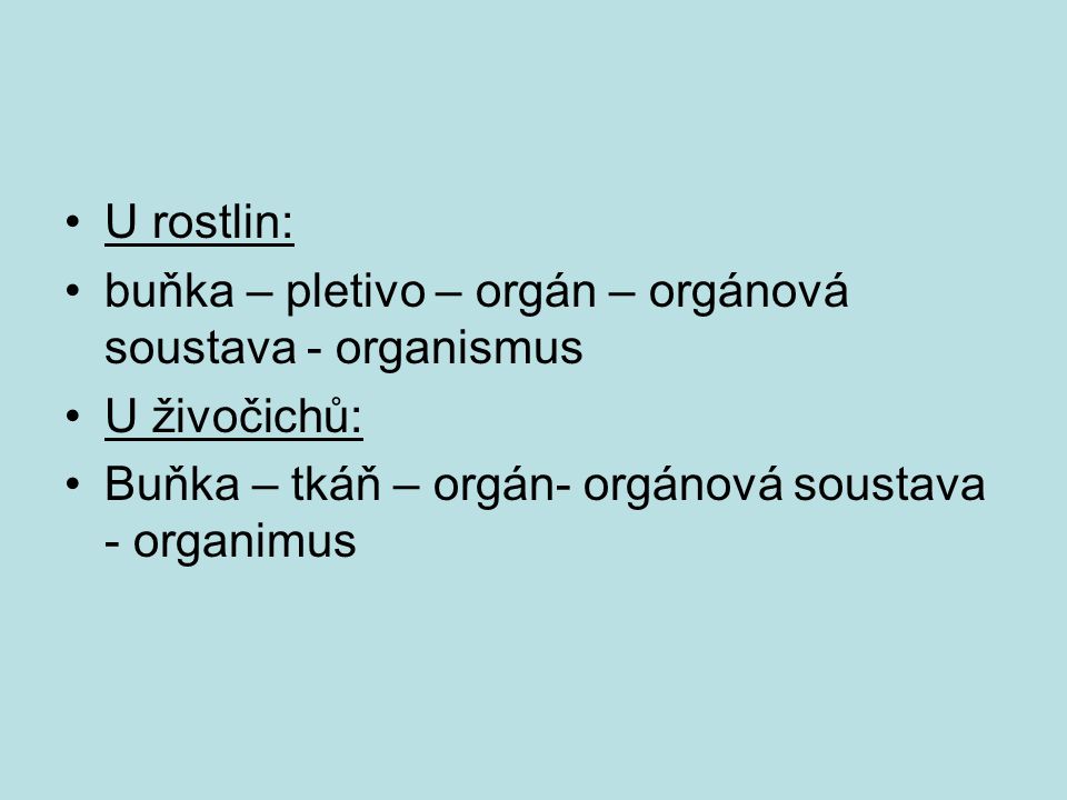 U rostlin: buňka – pletivo – orgán – orgánová soustava - organismus.
