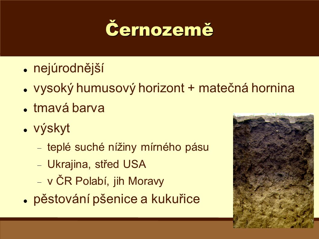 Černozemě nejúrodnější vysoký humusový horizont + matečná hornina