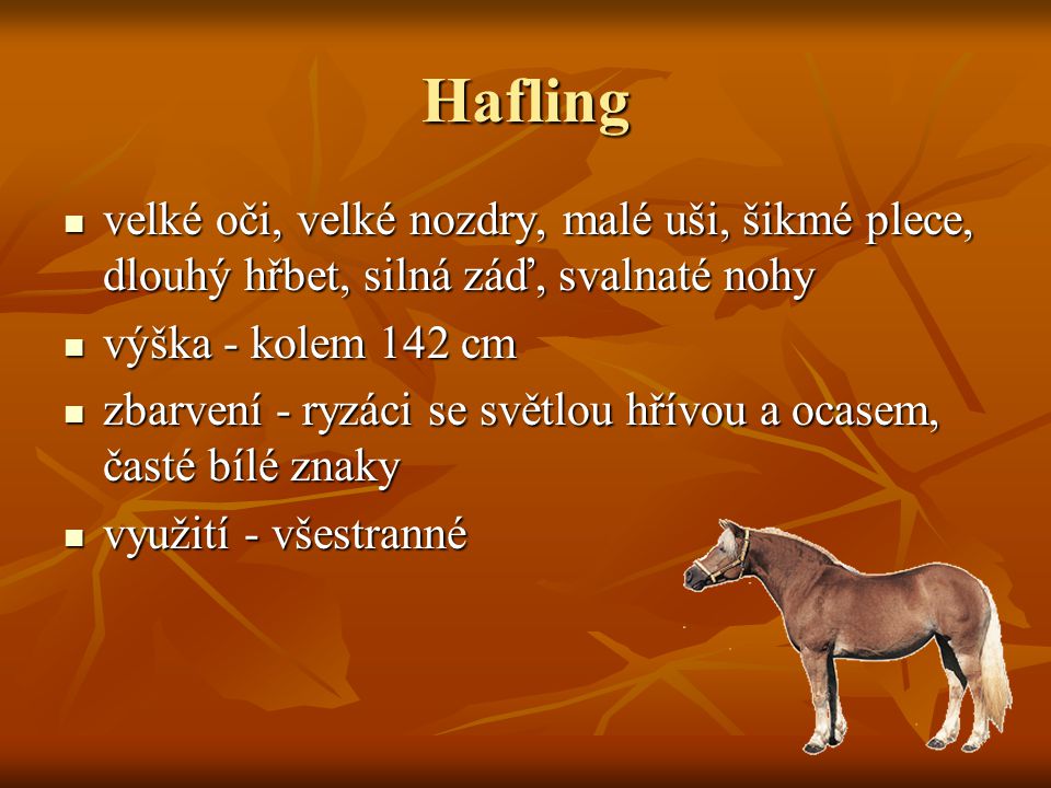 Hafling velké oči, velké nozdry, malé uši, šikmé plece, dlouhý hřbet, silná záď, svalnaté nohy. výška - kolem 142 cm.