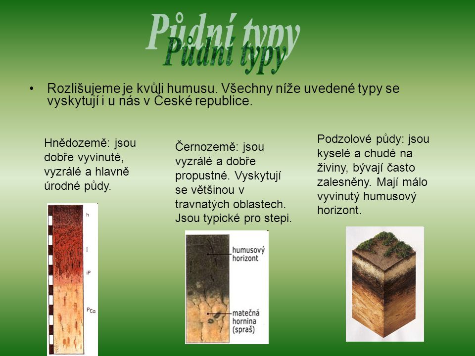 Půdní typy Rozlišujeme je kvůli humusu. Všechny níže uvedené typy se vyskytují i u nás v České republice.