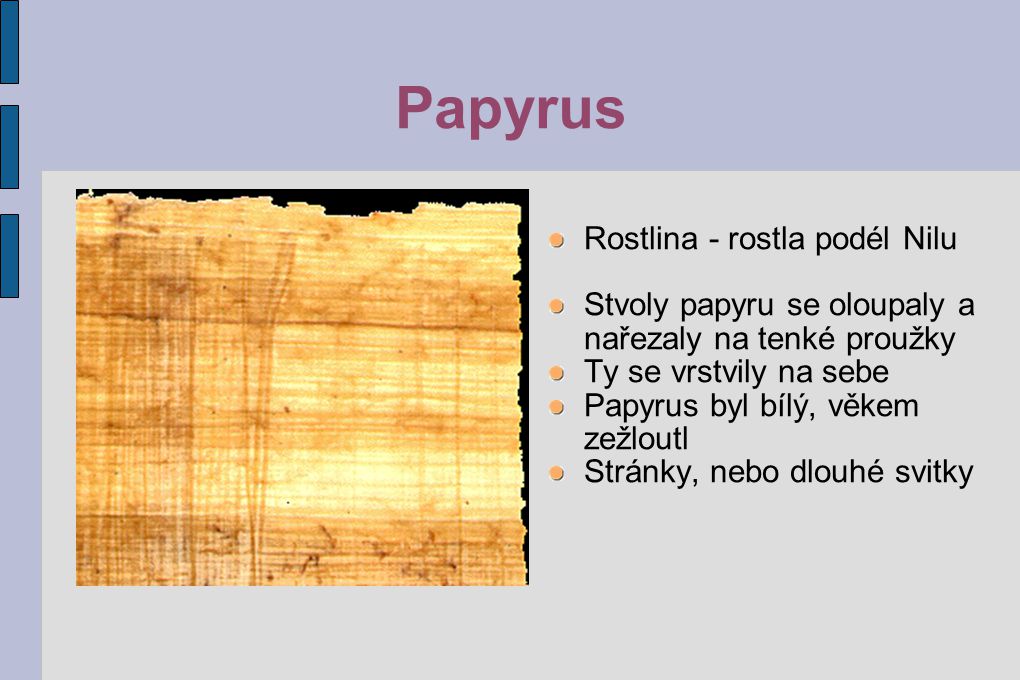 Papyrus Rostlina - rostla podél Nilu