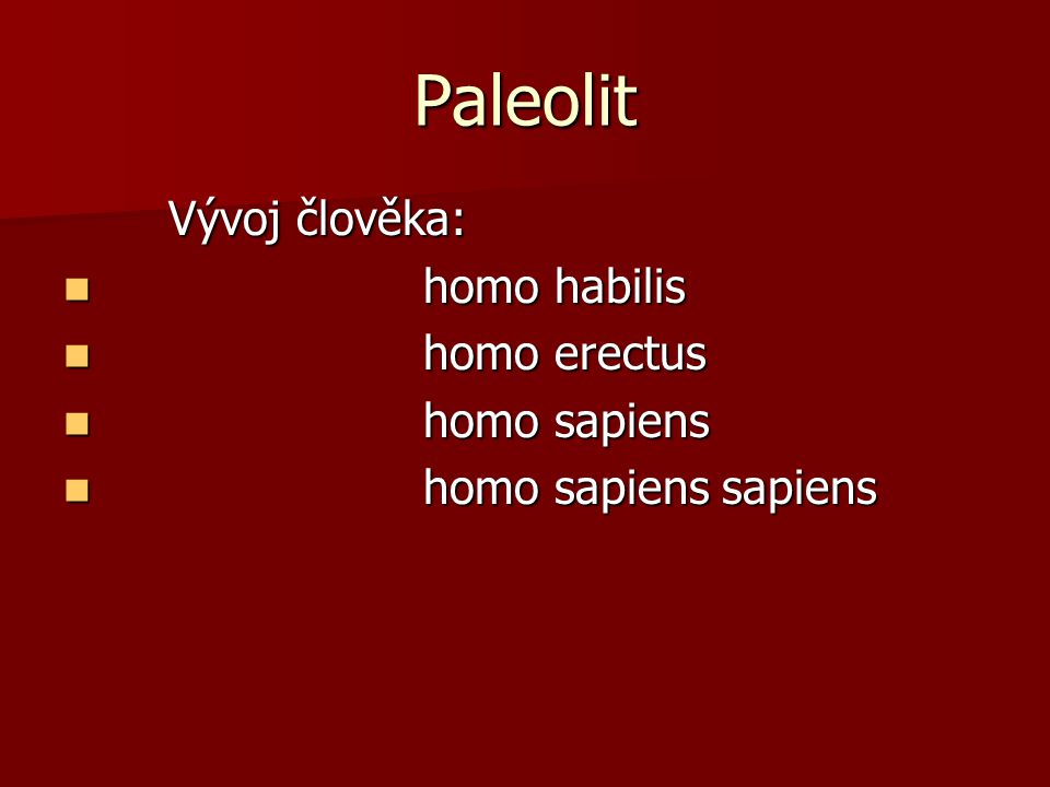 Paleolit Vývoj člověka: homo habilis homo erectus homo sapiens