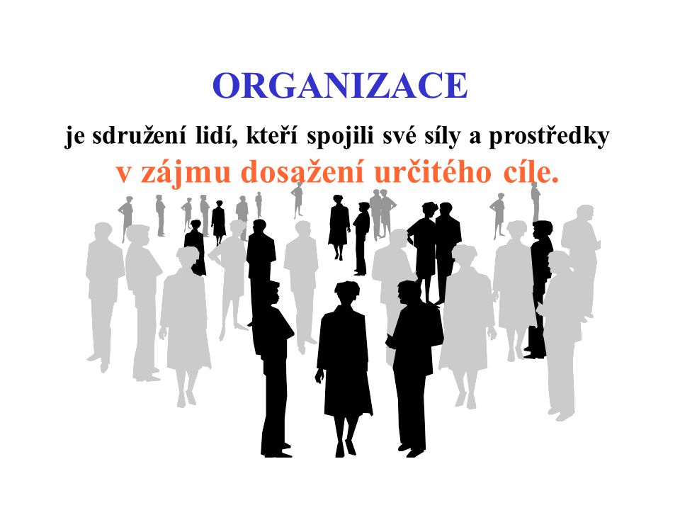 ORGANIZACE je sdružení lidí, kteří spojili své síly a prostředky v zájmu dosažení určitého cíle.