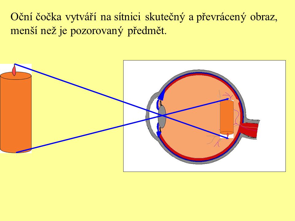 Oční čočka vytváří na sítnici skutečný a převrácený obraz,