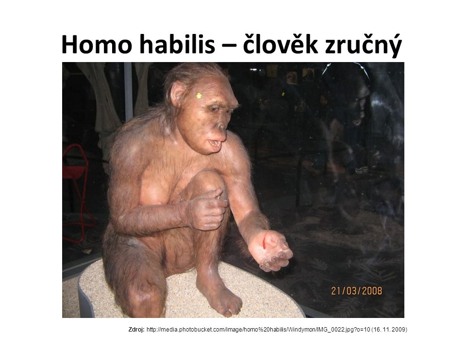 Homo habilis – člověk zručný