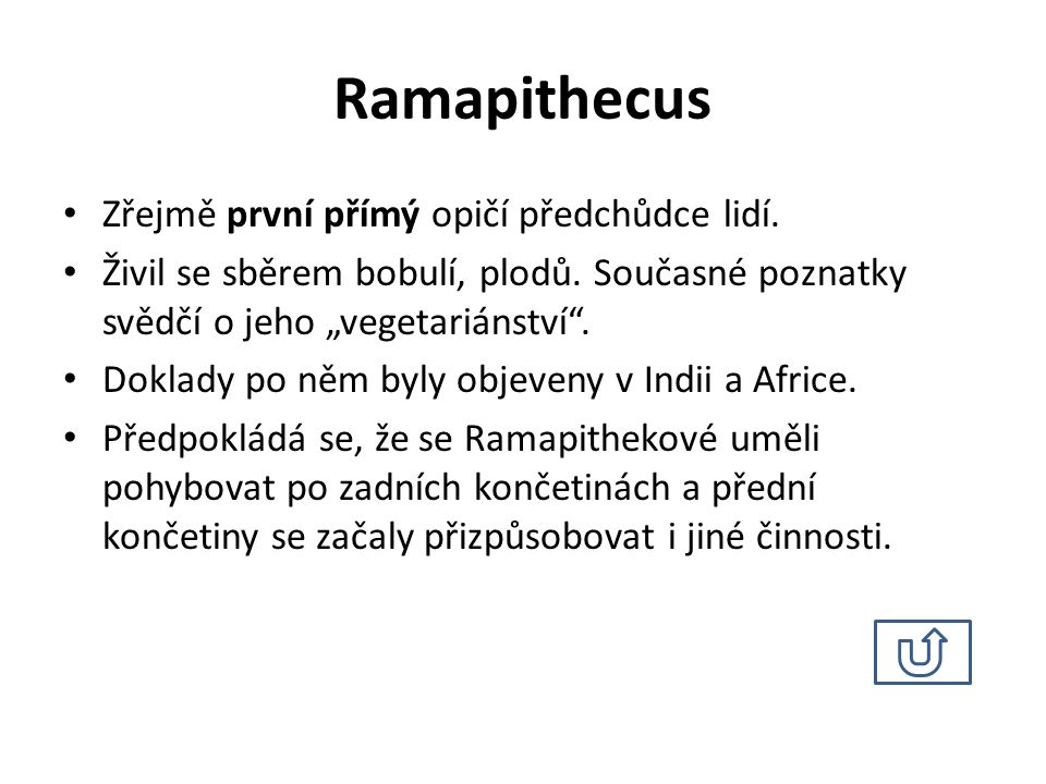 Ramapithecus Zřejmě první přímý opičí předchůdce lidí.