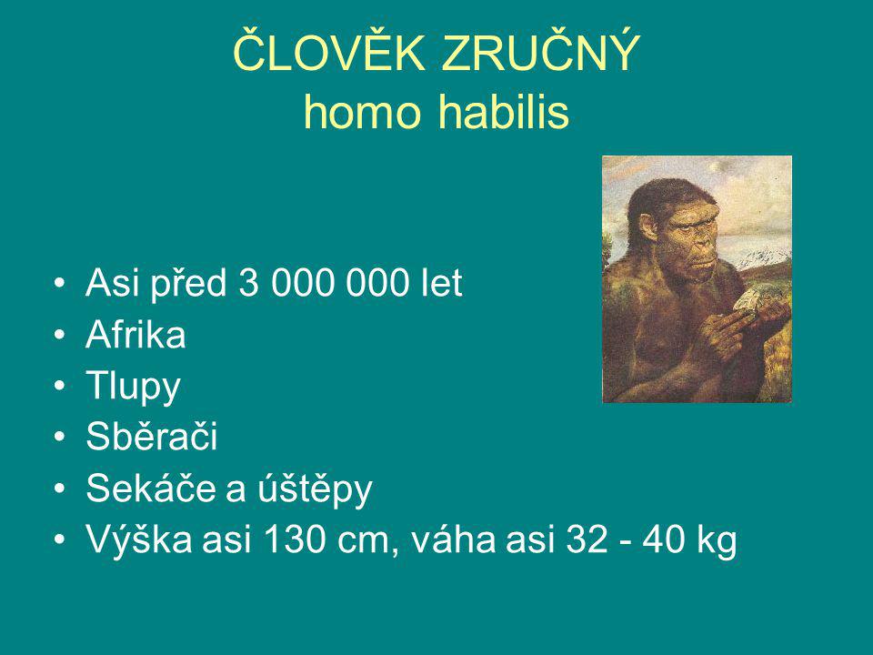 ČLOVĚK ZRUČNÝ homo habilis