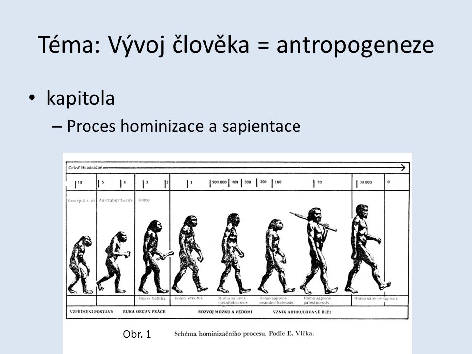 Téma: Vývoj člověka = antropogeneze