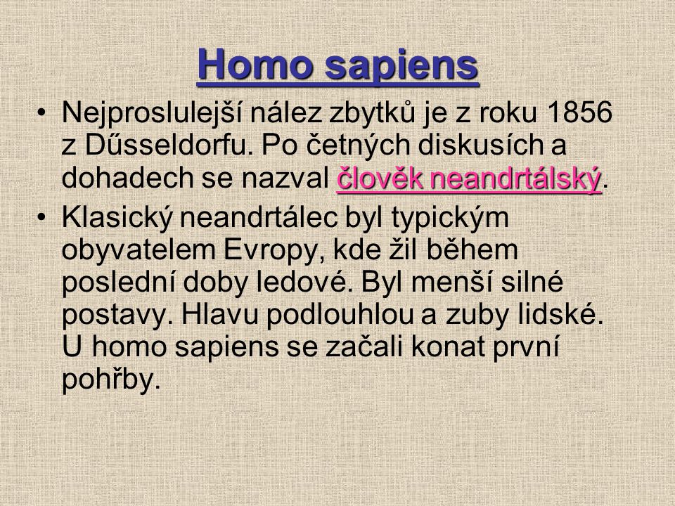 Homo sapiens Nejproslulejší nález zbytků je z roku 1856 z Dűsseldorfu. Po četných diskusích a dohadech se nazval člověk neandrtálský.