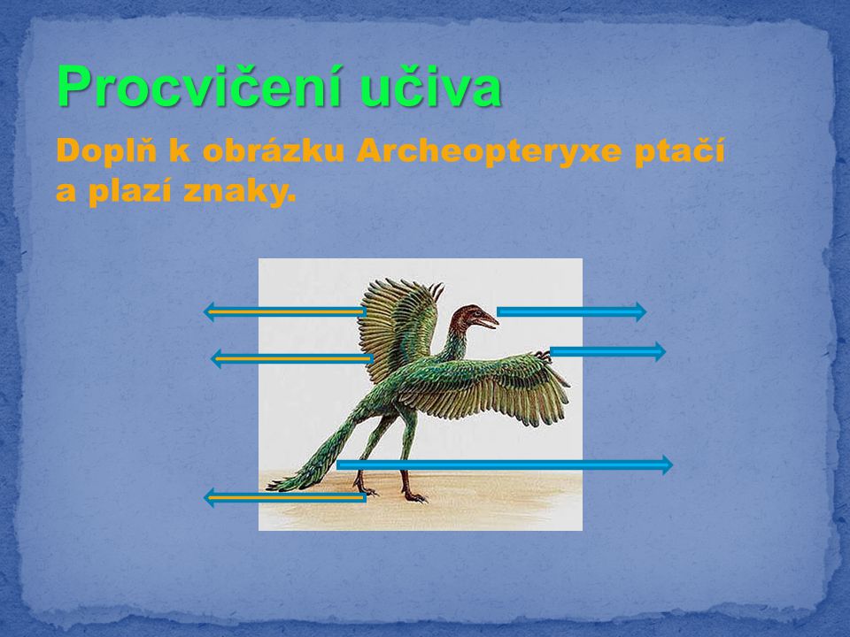 Procvičení učiva Doplň k obrázku Archeopteryxe ptačí a plazí znaky.