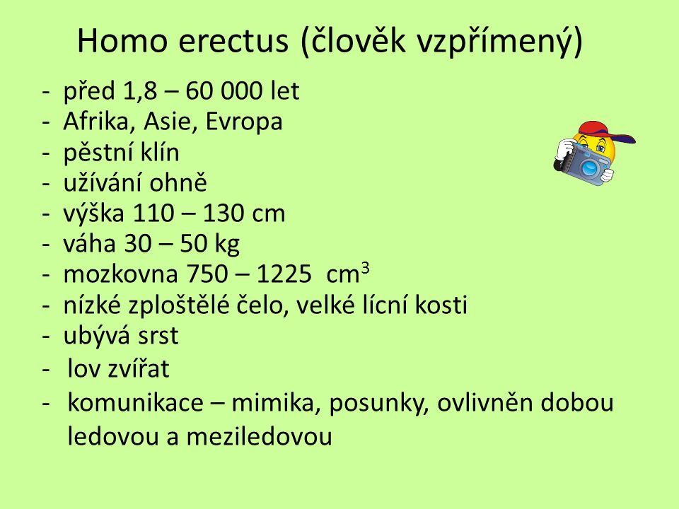 Homo erectus (člověk vzpřímený)