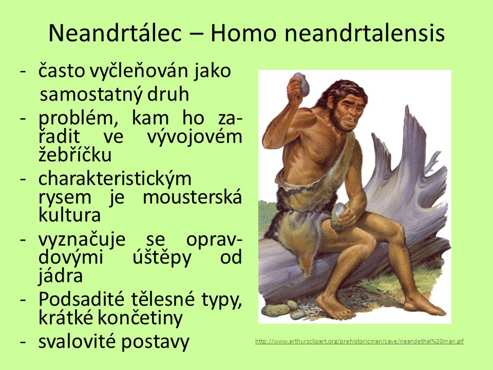Neandrtálec – Homo neandrtalensis
