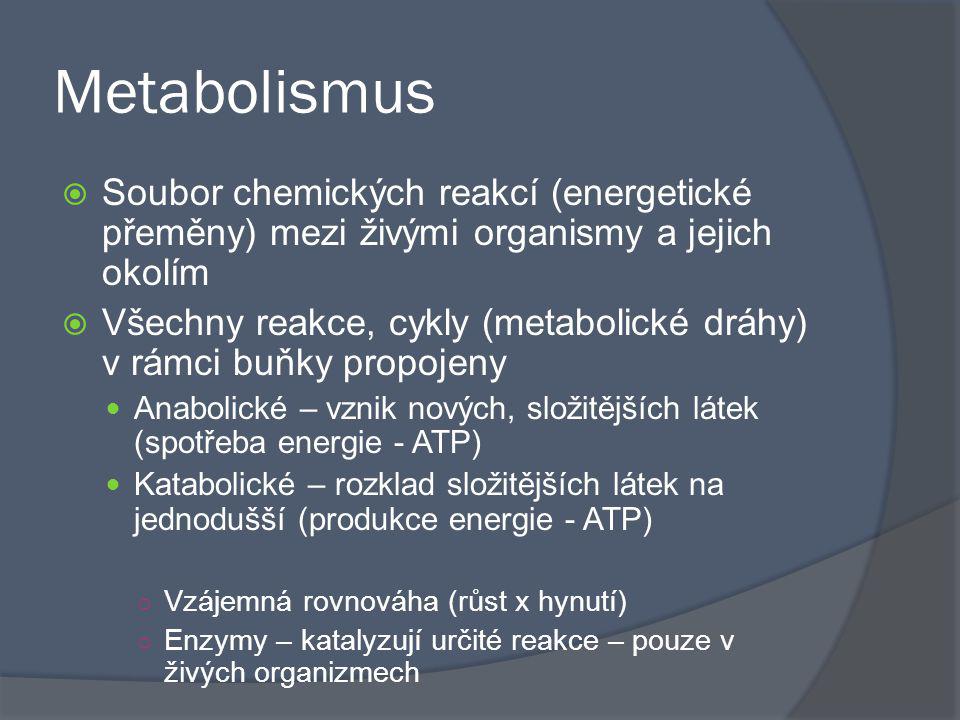 Metabolismus Soubor chemických reakcí (energetické přeměny) mezi živými organismy a jejich okolím.